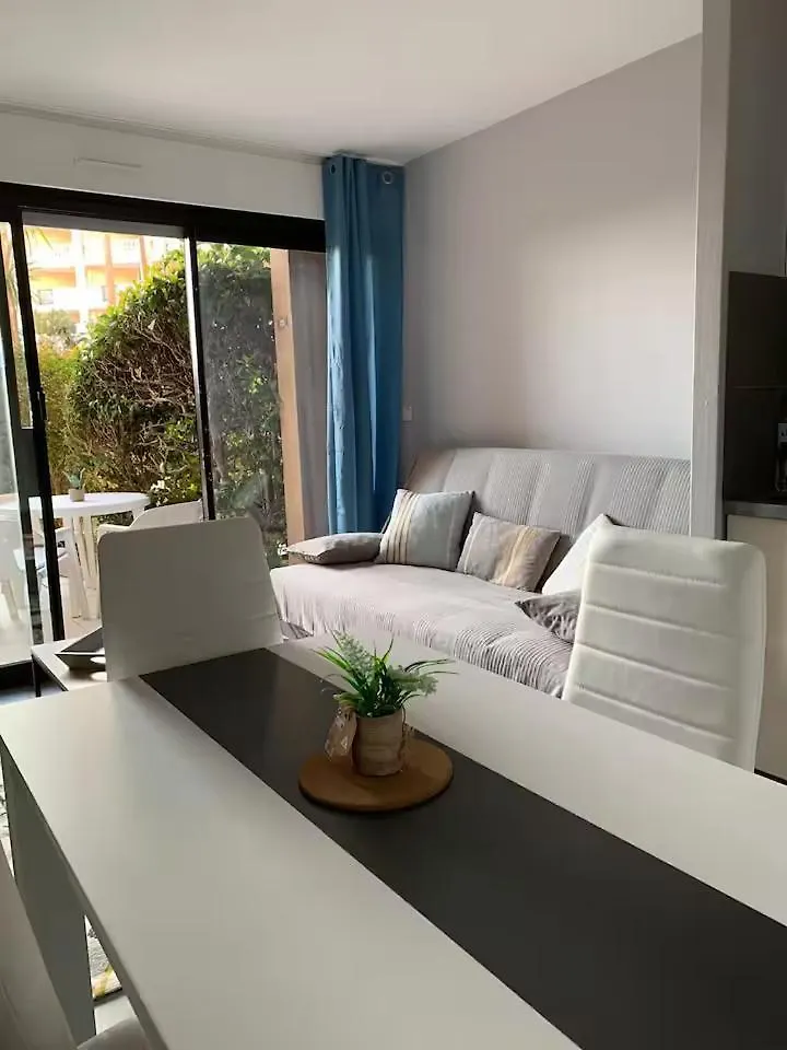 Cosy Blue Classe 2 Etoiles Piscine Parking Clim Terrasse Cannes 0*,