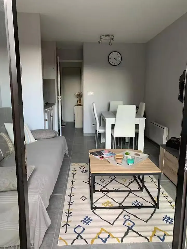 Apartment Cosy Blue Classe 2 Etoiles Piscine Parking Clim Terrasse Cannes