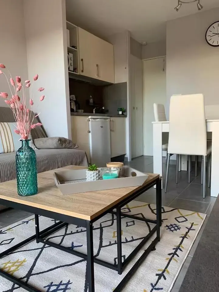 Cosy Blue Classe 2 Etoiles Piscine Parking Clim Terrasse Cannes 0*,